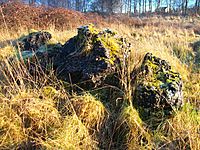 Cinderford Ironworks Clinker