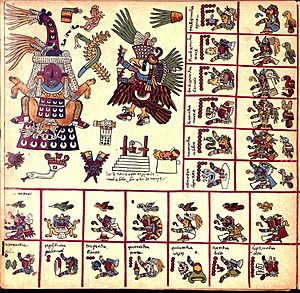 Codex Borbonicus (p. 13)