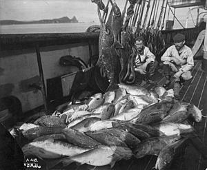 Commercial fishing