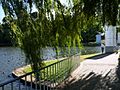 Commonwealth Park in Canberra