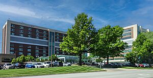 CoxHealth South