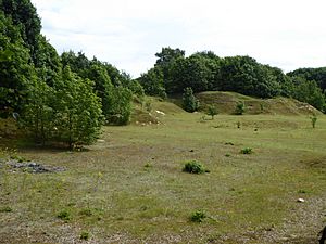 Creeting St Mary Pits 4.jpg