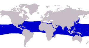 Elagatis bipinnulata distribution.PNG