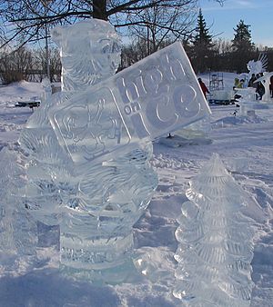 Fort St. John High on Ice 2007