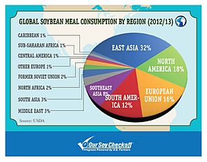 Global Soybean Meal Consumption (11717587375)