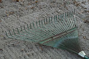 GrassRake