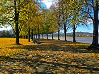 Harris Riverfront in the Fall