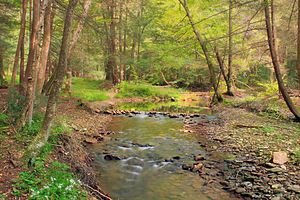 Hyner Run State Park (1)