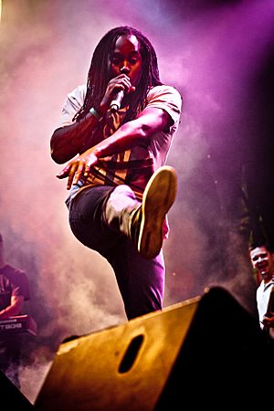 Kevin Mark Trail of The Streets live at Parklife, Sydney 2011.jpg