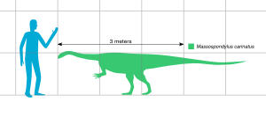 Massospondylus scale SW