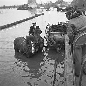 Minister Attlee visiting Walcheren 1945