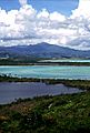 Northeast Ecological Corridor and El Yunque National Forest