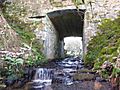 Olivias Bridge Carntogher