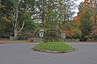 PEQUOT FORT, NEW LONDON COUNTY.jpg