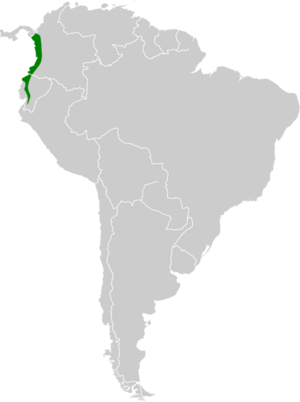 Phaethornis yaruqui map.svg