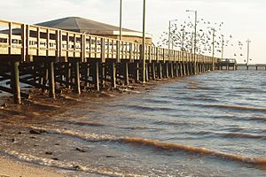 Pier Palacios TX