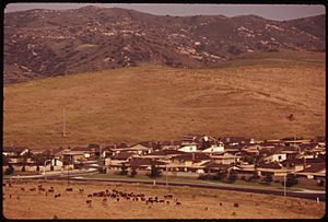 RESIDENTIAL DEVELOPMENT IN THE IRVINE RANCH AREA NEAR NEWPORT BEACH. THIS DEVELOPMENT IS PART OF A NEW TOWN OF HIGH... - NARA - 557438