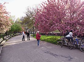 Riverside Park 03.jpg