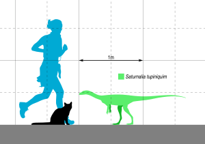 Saturnalia Scale