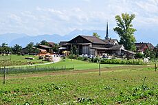 Seegräben - Ruetschberg 2011-09-02 14-38-44