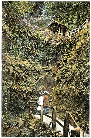 Shanklin Chine c1910 - Project Gutenberg eText 17296