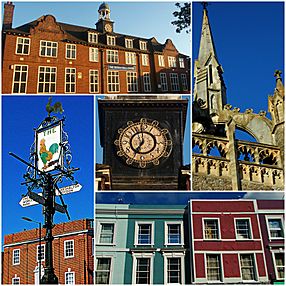 Sutton collage (4).jpg