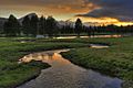 Tuolumne Meadows Sunset