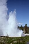 TwinGeysers-Boe1975.jpg