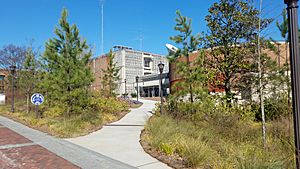 Van Leer Building entrance