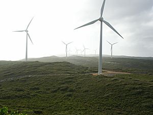 Albany Wind Farm, Western Australia