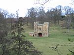 Alnwick Abbey - geograph.org.uk - 122681.jpg