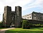 Berry Pomeroy Castle - geograph.org.uk - 913529.jpg