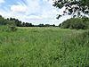 Bugg's Hole Fen