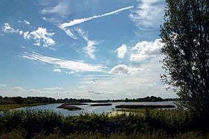 Cmglee Fen Drayton Nature Reserve