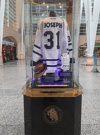 Curtis Joseph HHOF jersey (photo by Djuradj Vujcic)