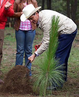 EPN. Día del Árbol