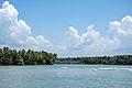 Estuary of River Anjarakkandy