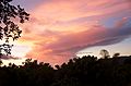 Evening at El Yunque - panoramio