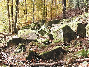 Felsenmeer b Jägerfelsen