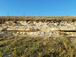 Fencepost limestone I-70 frontage road 20171012