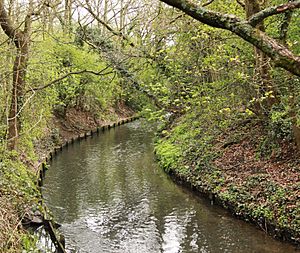 Fishponds Wood Nature Reserve (7217664528)