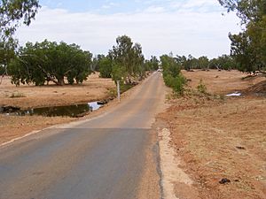 Gascoyne River Crossing - panoramio