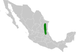 Glaucidium sanchezi map.svg