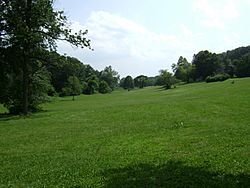 GoffleBrookPark Meadow