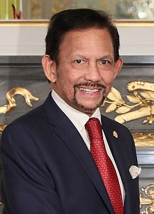 Hassanal Bolkiah at the Enthronement of Naruhito (1).jpg