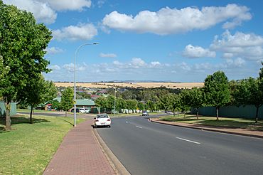 Hewett South Australia.jpg