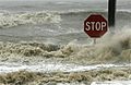 Hurricane Gustav Beach Boulevard