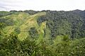 Jhum cultivation in Nokrek Biosphere Reserve Meghalaya India Northeast India 2004