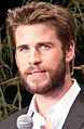 Liam Hemsworth June 2016