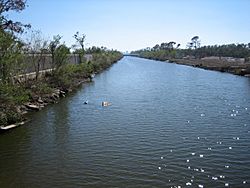 LondonAvenueCanal